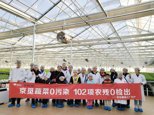 高端蔬菜與農(nóng)業(yè)科普知識兩手抓，京東植物工廠打造健康生活新方式