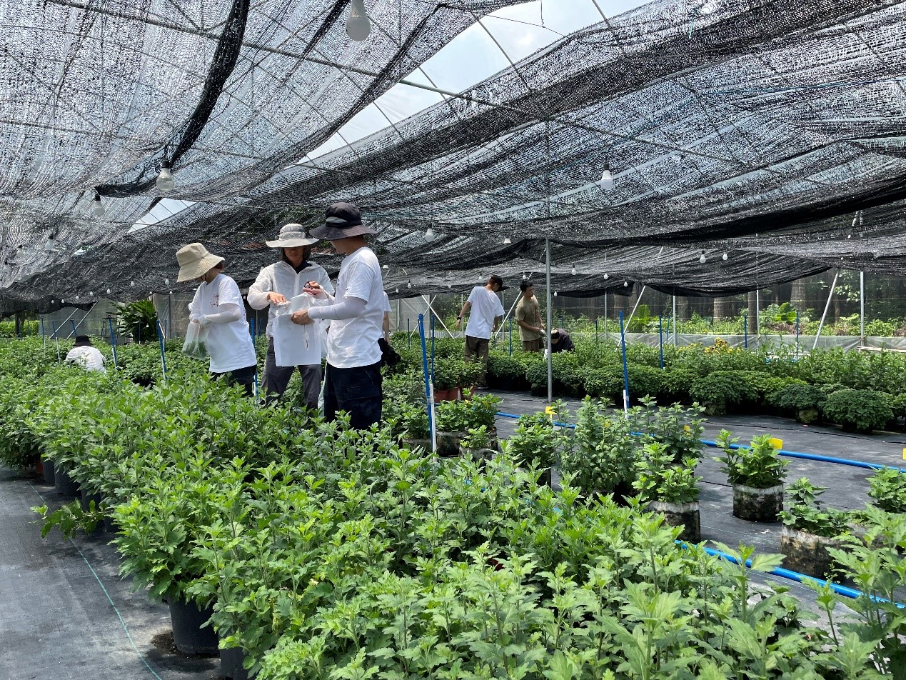 園藝園林學(xué)院21級(jí)學(xué)碩班 在春日田野中探求育種真知——記春季學(xué)期植物育種課程實(shí)踐活動(dòng)